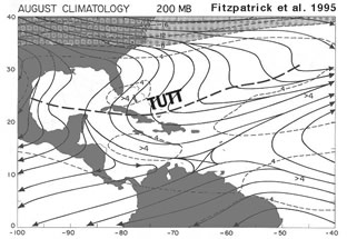TUTT TUTT Diagram from Fitzpatrick, 1995